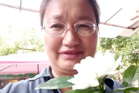 不用土，不用生根粉，就能让栀子花枝条生根的方法！多次体验成功