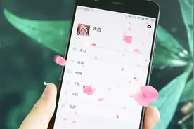 最新微信主题特效，简单设置下，打开微信就会有花瓣飘落下来视频封面