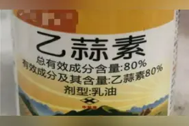 乙蒜素：“杀菌之王”杀真菌细菌，速度快效果好，5点要注意