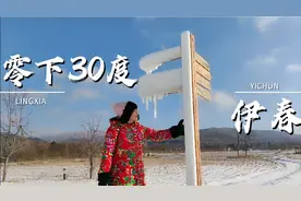 零下30度的黑龙江伊春是个啥感觉，农村寒冷而又欢乐#2020城事#视频封面
