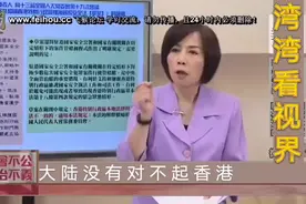 黄智贤:香港不用向大陆上缴税收，大陆对香港很好了