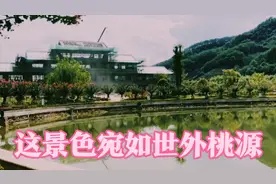 福建政和国家3A景区10万余株紫薇花 吸引全国各地游客慕名而来