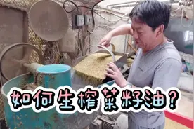 70s带你了解农村生榨菜籽油，生榨的更好，很多人都不知道！视频封面