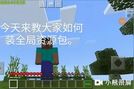 我的世界:今天来教大家如何装全局资源包。
