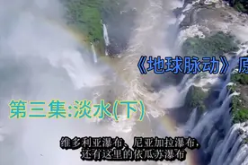 历时五年拍摄完成，豆瓣9.7英国BBC经典纪录片《地球脉动》