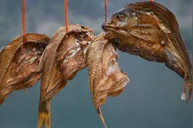 瑶乡夫妻制作翘嘴风味腊鱼干，十里八乡亲友都来买，佩服这手艺！