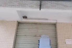 城市的出租房有个鸟窝，到底什么情况呢？阿诗带你去看看视频封面