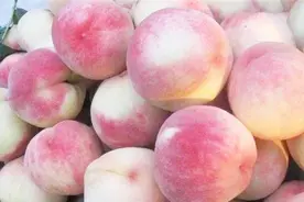 原来保存桃子这么简单！学会这个土方法，放上一个月都不坏味更甜视频封面