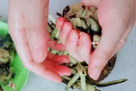 长满籽的老茄子千万别扔，这样做劲道开胃，一人两个茄子不够吃！