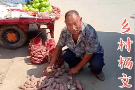 河南农村大爷卖红薯，四毛钱一斤，卖不完的要喂猪喂羊，太可惜！视频封面