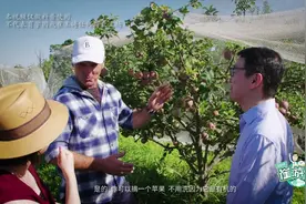 《崔游记》崔玉涛医生参观访问有机农场，带你深入认识有机食品！视频封面