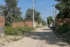 山东冠县有个村庄一只蟋蟀卖到11万，你有来过吗视频封面