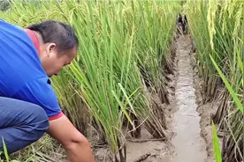 太爽了，快来看这场面你有没有感觉很熟悉，错过一次可要等一年哦视频封面