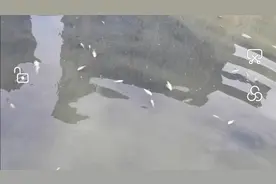 四五年没干的人工湖，早上村民抓了几百斤鱼我过来看一下捡一下漏视频封面