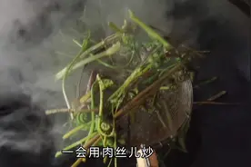 东北山野菜下来了，牛毛广也叫广东菜，用肉炒这种山野菜才好吃