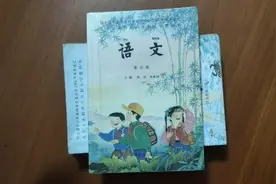 江苏省2000年初小学教科书，语文第四册，省版课本都不常见视频封面