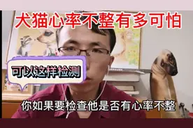 兽医陈满福告诉你犬猫心率不整到底有多可怕！视频封面