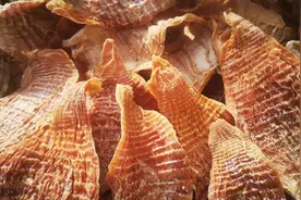 笋干太多吃不完试试这个保存方法，不进冰箱不冷冻，两年都不会坏