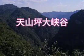 重庆天山坪大峡谷（免费景区）视频封面