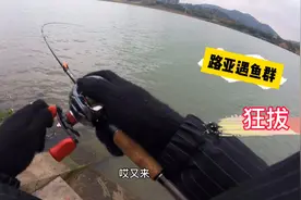 冷天路亚不断上鱼，实战讲解操作小秘密，感觉越冷越好钓