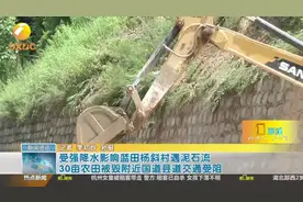 受强降水影响蓝田杨斜村遇泥石流，30亩农田被毁、国道交通受阻视频封面