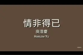 【歌词版】庾澄庆Harlem Yu《情非得已》视频封面