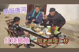 南阳物价太便宜鲫鱼8元一斤，萌二烧河南版红烧鱼！陪老爸喝点视频封面