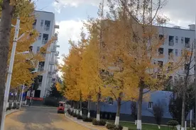 最近总是收到电信号码欠费的信息，去营业厅看看是啥子回事视频封面