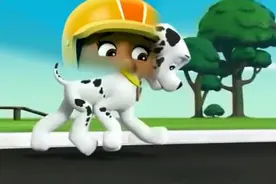 汪汪队-毛毛做事情太不用心了，毛毛收拾行李，要离开汪汪队了！视频封面