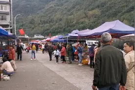 四川绵阳北川，纯朴的山里人，野生猕猴桃只卖3块钱一斤，去看看视频封面