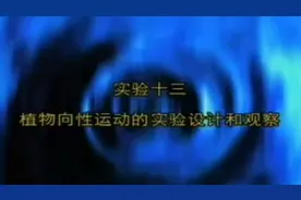 探究实验，植物的向光性实验视频封面