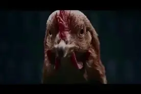 当年奔驰和捷豹互撕，于是拍了这两条搞笑创意广告视频封面