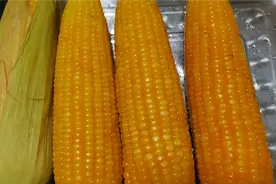 鲜嫩玉米，怎样煮才好吃鲜香？记住2个要点，我一次四个不够吃。