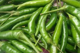 吃不完的尖椒，别再放冰箱了！一个土方法，放3月照样鲜亮不发蔫视频封面