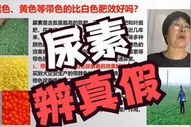 重磅！尿素黑色、黄色比白色好吗？真假辨别方法！农艺师讲农业视频封面