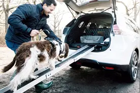 日产推出狗狗专属汽车，堪称遛狗神器，吃喝洗澡一应俱全