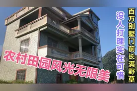 广西土豪太霸气，300平方的百万别墅高端大气，现如同丢荒太可惜视频封面