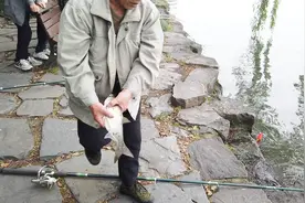 在西湖中 钓鱼 三百元办证 可钓一年 大家看看 值不值？视频封面