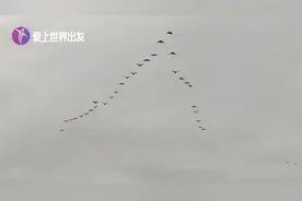 今天下午2点58分，福州天空出现“人”字，这是什么征兆呢?视频封面