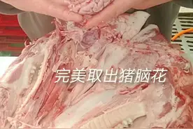 分割猪头，完美取出猪脑花视频封面
