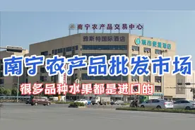 实拍南宁农产品批发市场，各种东南亚进口水果应有尽有视频封面