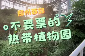 郑州西四环，不要门票的热带植物园里边长啥样？冬天带娃好去处视频封面