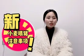 用小麦来喂猪，需要注意的事项视频封面