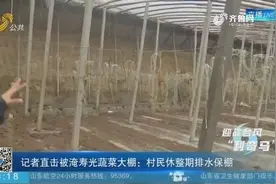 损失严重！山东寿光再遭水灾，大棚被淹，村民：蔬菜都在水里泡着
