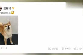 张继科晒与盆妹爆笑日常 遭网友调侃：道哥咋办呀视频封面