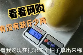 网购两个红心柚说有5到6斤，我实测给大家看，到底有没有缺斤少两视频封面