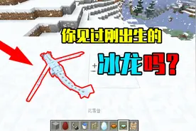 我的世界mod：见过刚出生的龙宝宝吗？小月亲自教你怎么孵出康纳