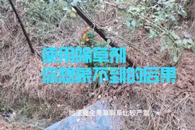 使用除草剂对植物产生的后遗症，后果如此严重视频封面