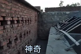 东北农村现在还有这么高大上的玩楞儿？以后农村也越来越先进了