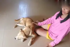 狗狗趴在主人身上的一脸享受的样子，超有爱的一幕！视频封面